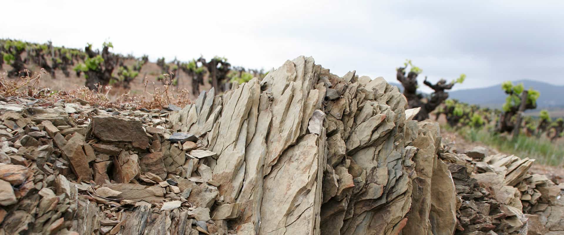 Schiste du terroir AOP Faugères